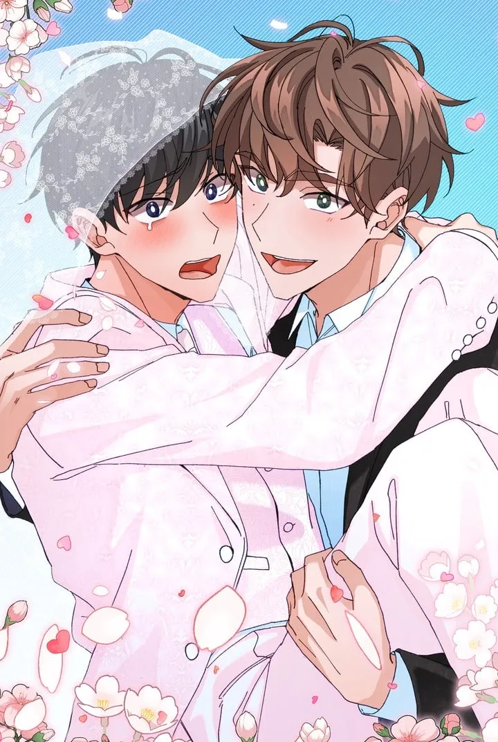 visual_w720